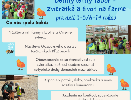 Zvieratká a život na farme